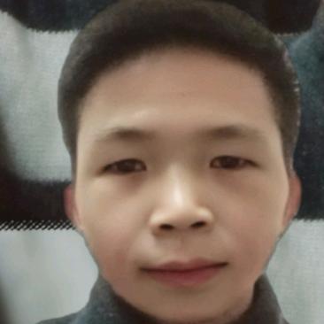 坚持到底