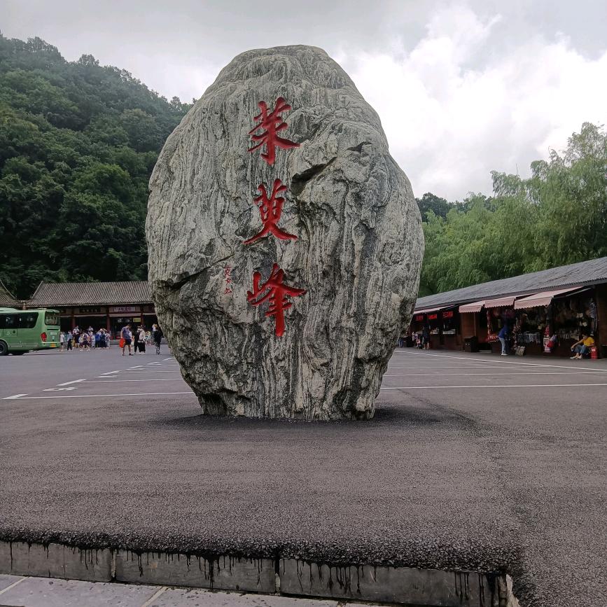 又缘人