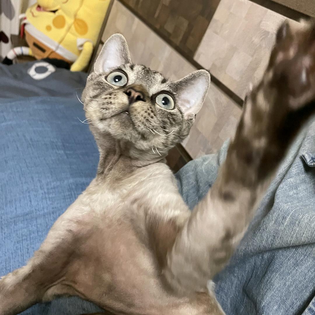 9594