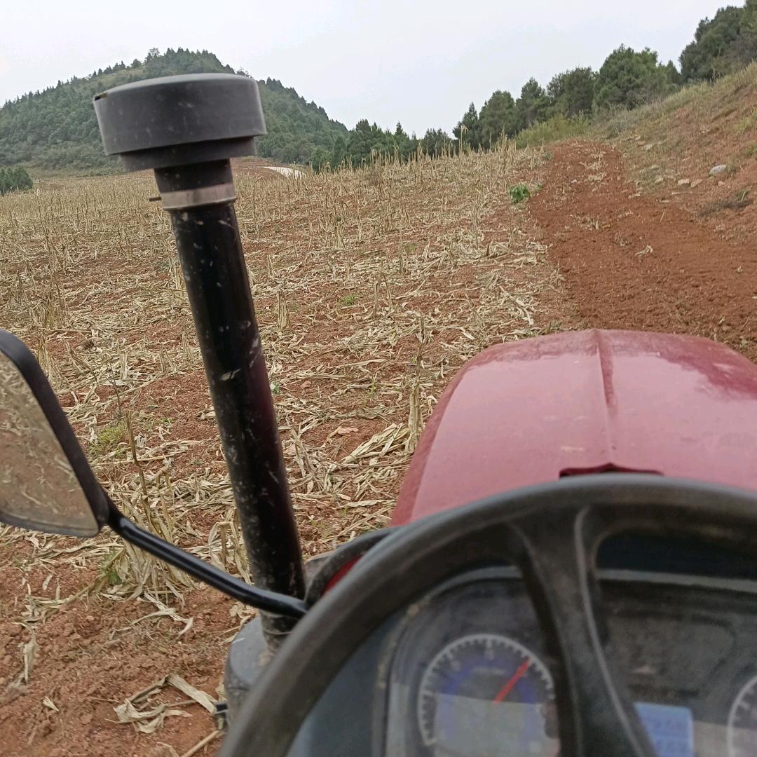 剑阁县阿林种养殖家庭农场