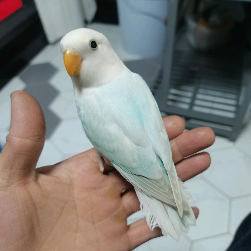莫问旧人
