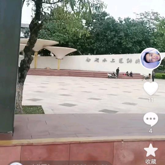 （龙哥）我是单身过日子人