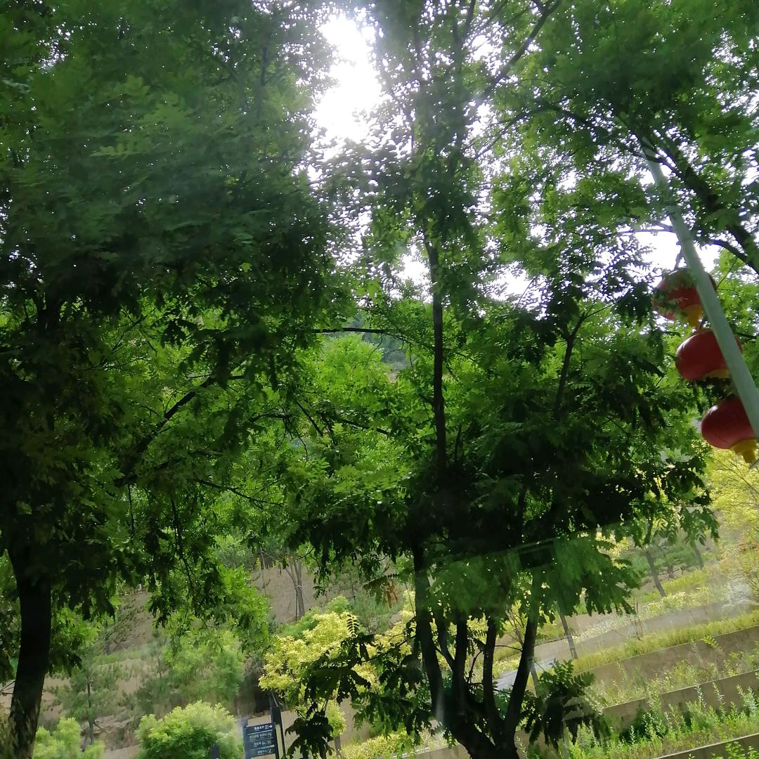 钱多多