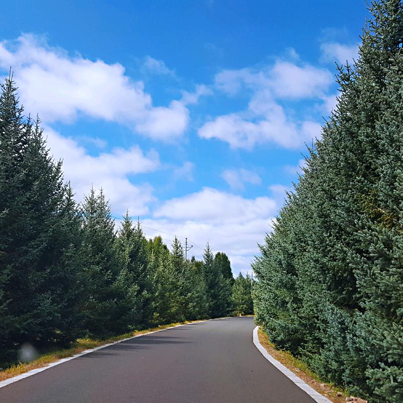 承德围场正通园林