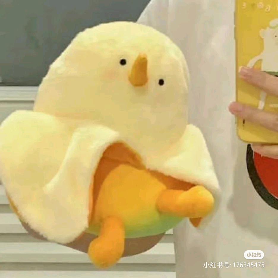 节目鱼🐟