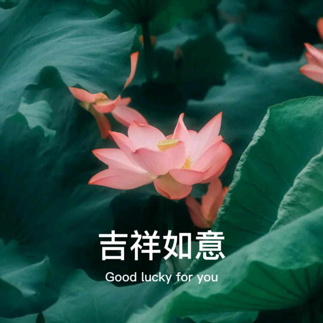 平安喜乐开开心心快快乐乐