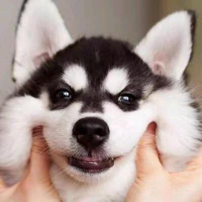 虾仁不用螺丝刀