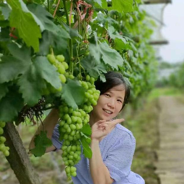 香香