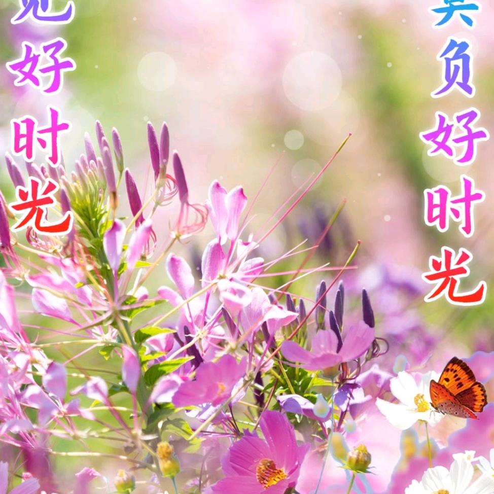 ℋღ᭄幽兰🍒烟雨᭄梦💞࿐清风清如