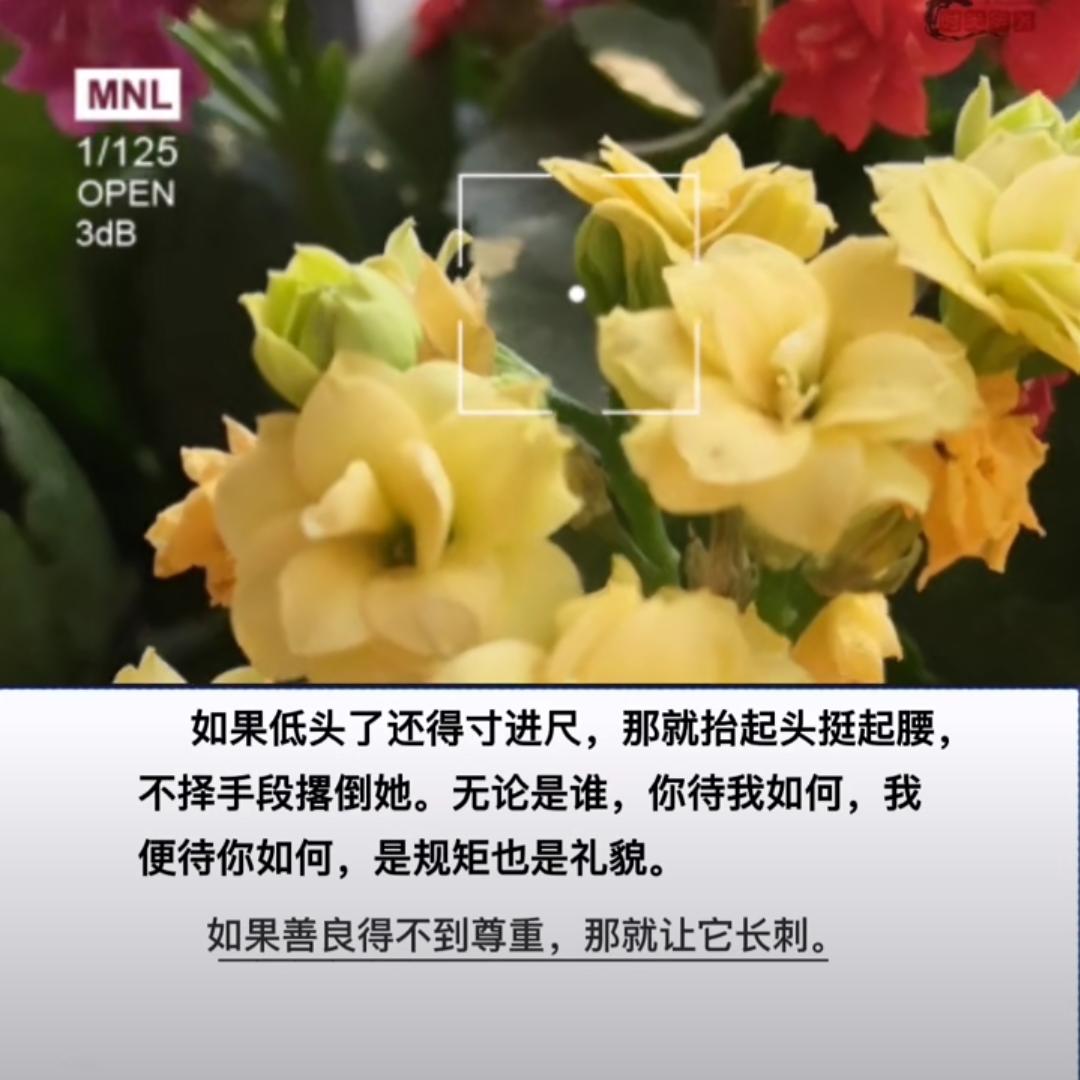 莉粒姐