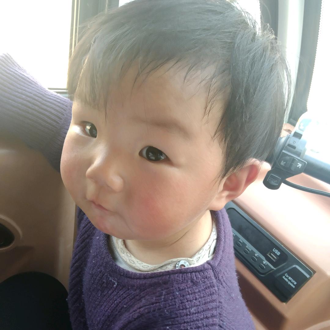 芒果成长录