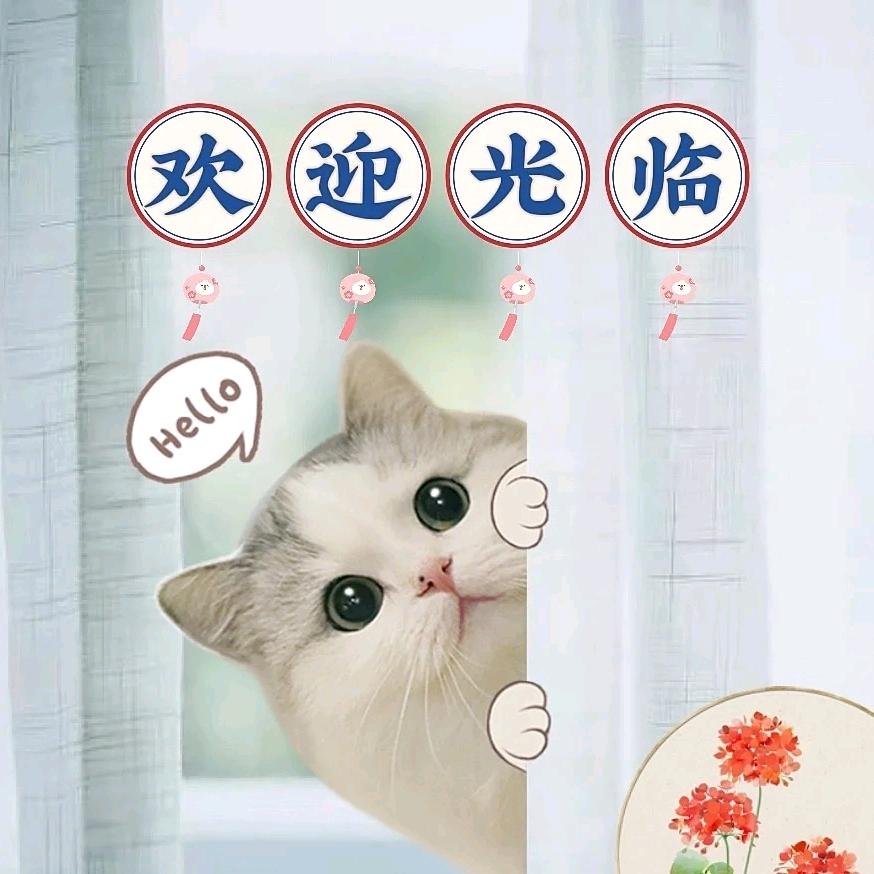 小猫咪🐷好物