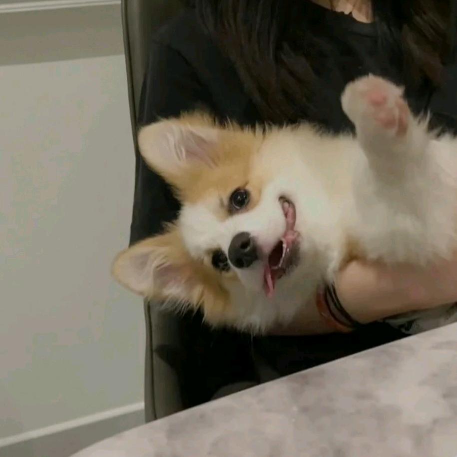 沈倦