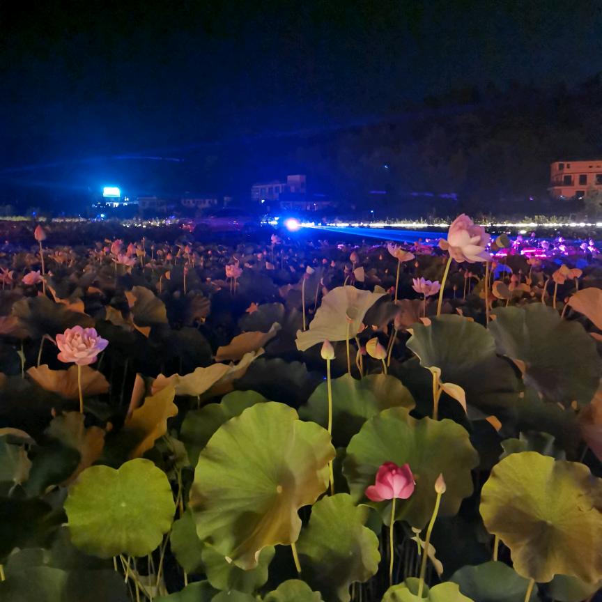 江福