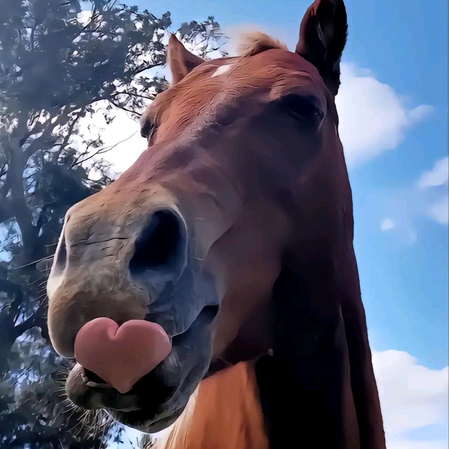 一见禧