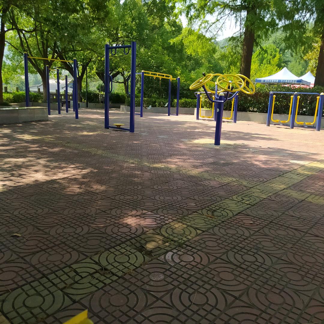 信天翁与企鹅