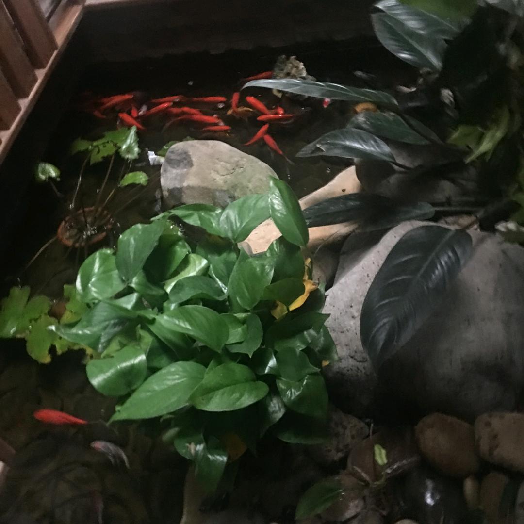 好山好水好风光