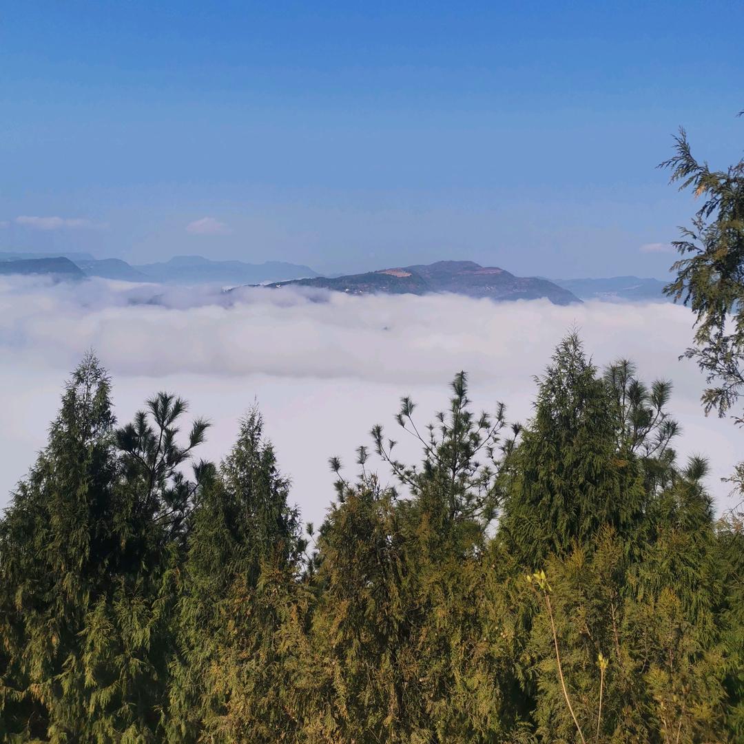 日久见人心（❤）