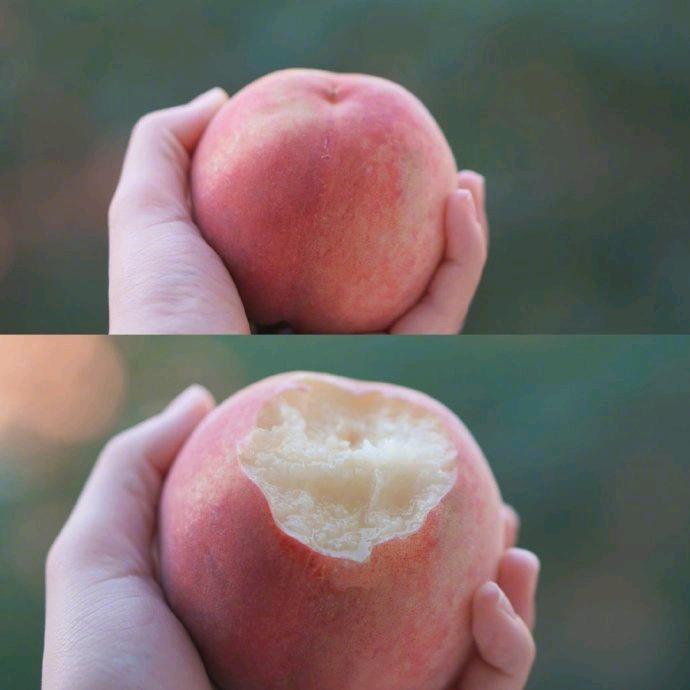 💍旧人不覆👣