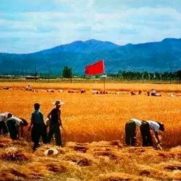 梦想全球