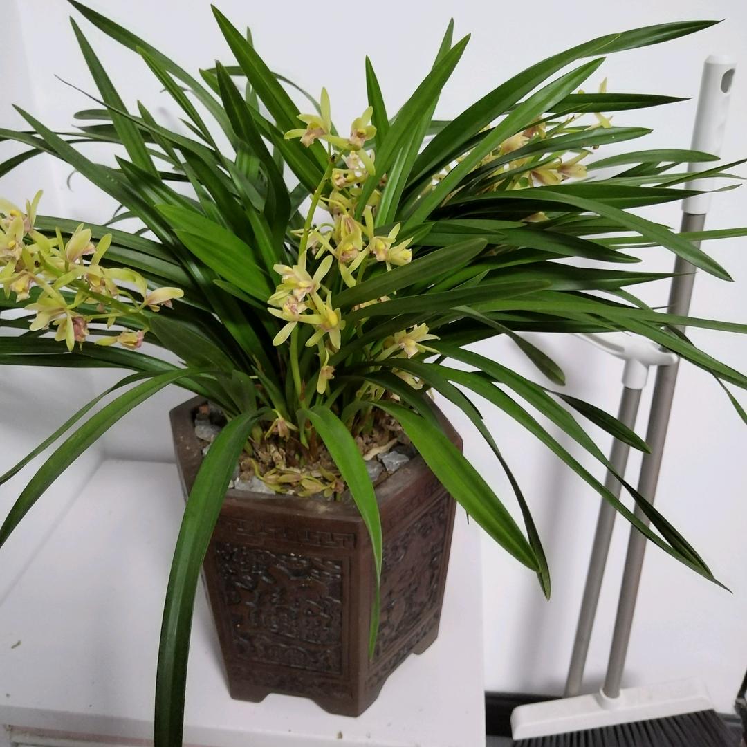 幸福(•ө•)♡暗恋我(•ө•)♡