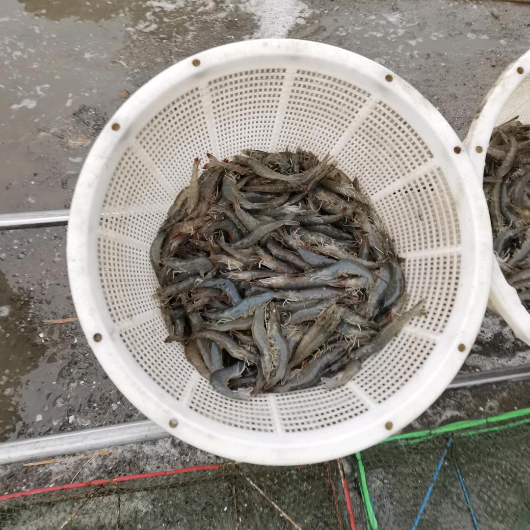 浙江联兴饲料