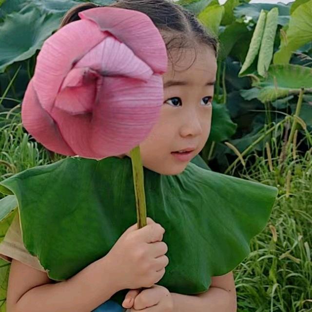 蓝妈🌈小学重点必备