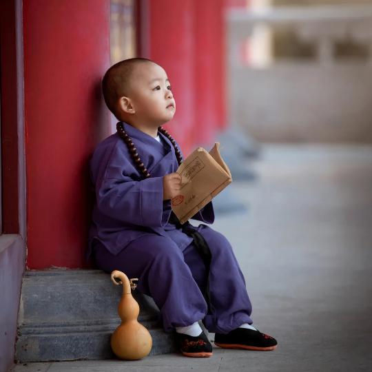 渡念