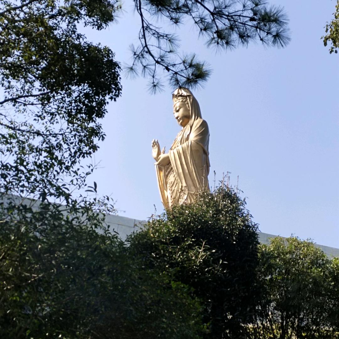 queen女王
