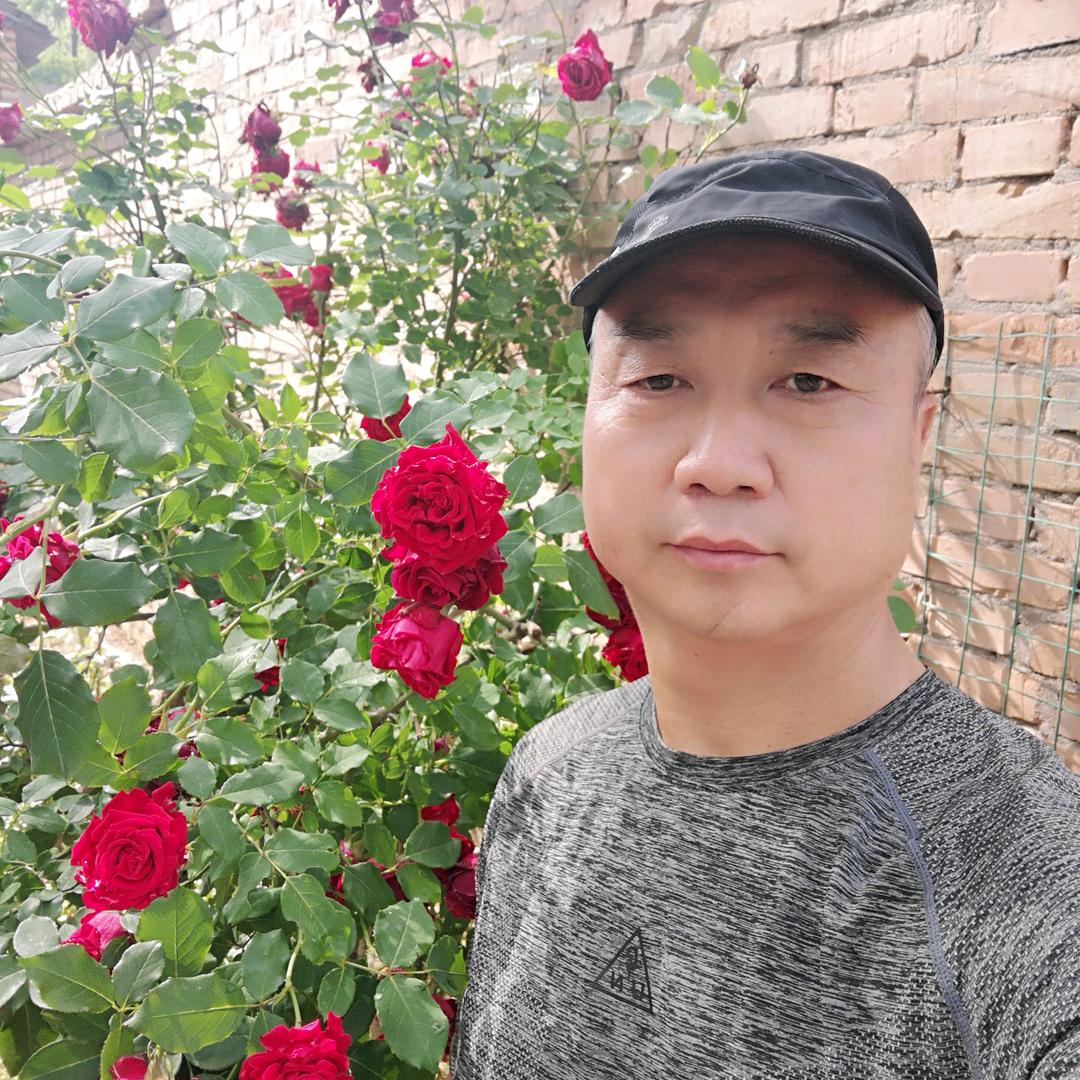 孜孜不倦9722
