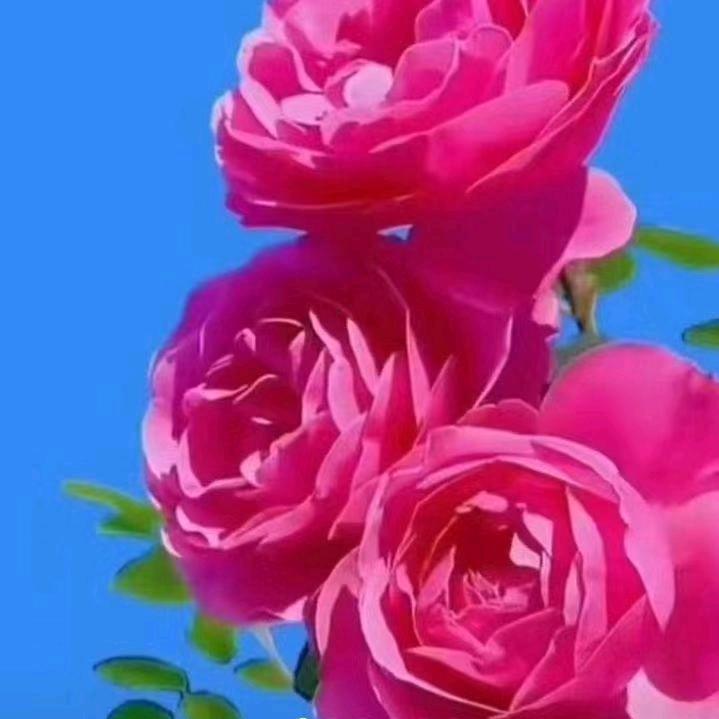用户4602556352021