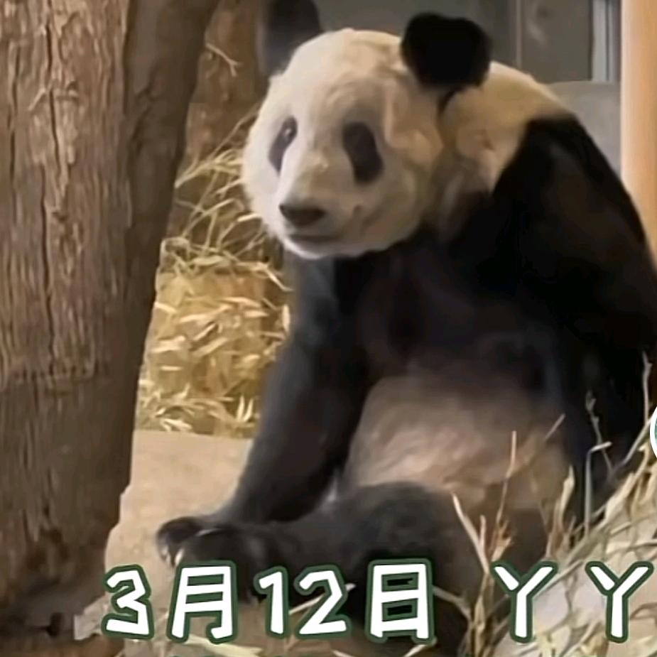 你不爱,请不要伤害