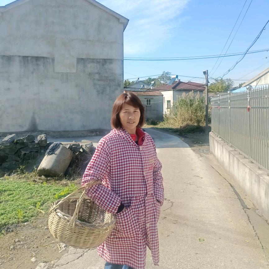 农村英姐