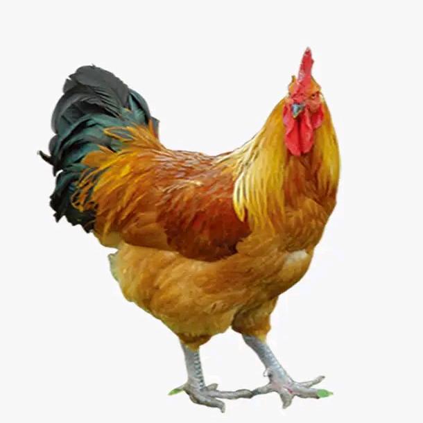 花姐（拒绝私聊）