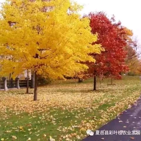 用户2060913160409