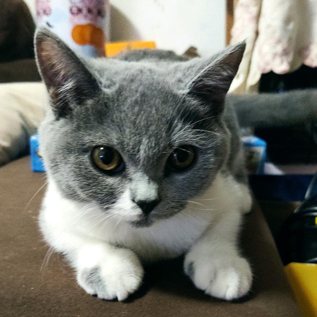 小希的快乐生活