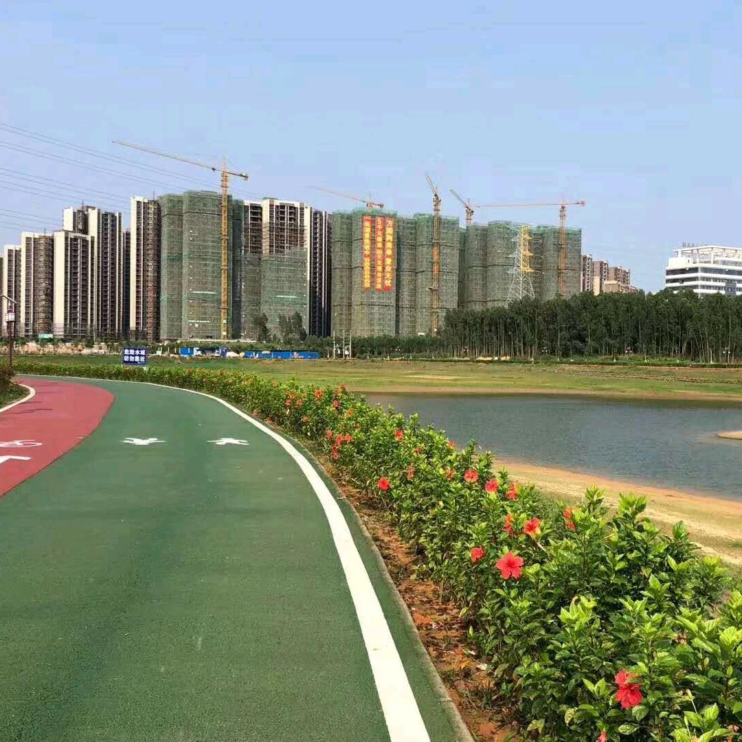 张兴平