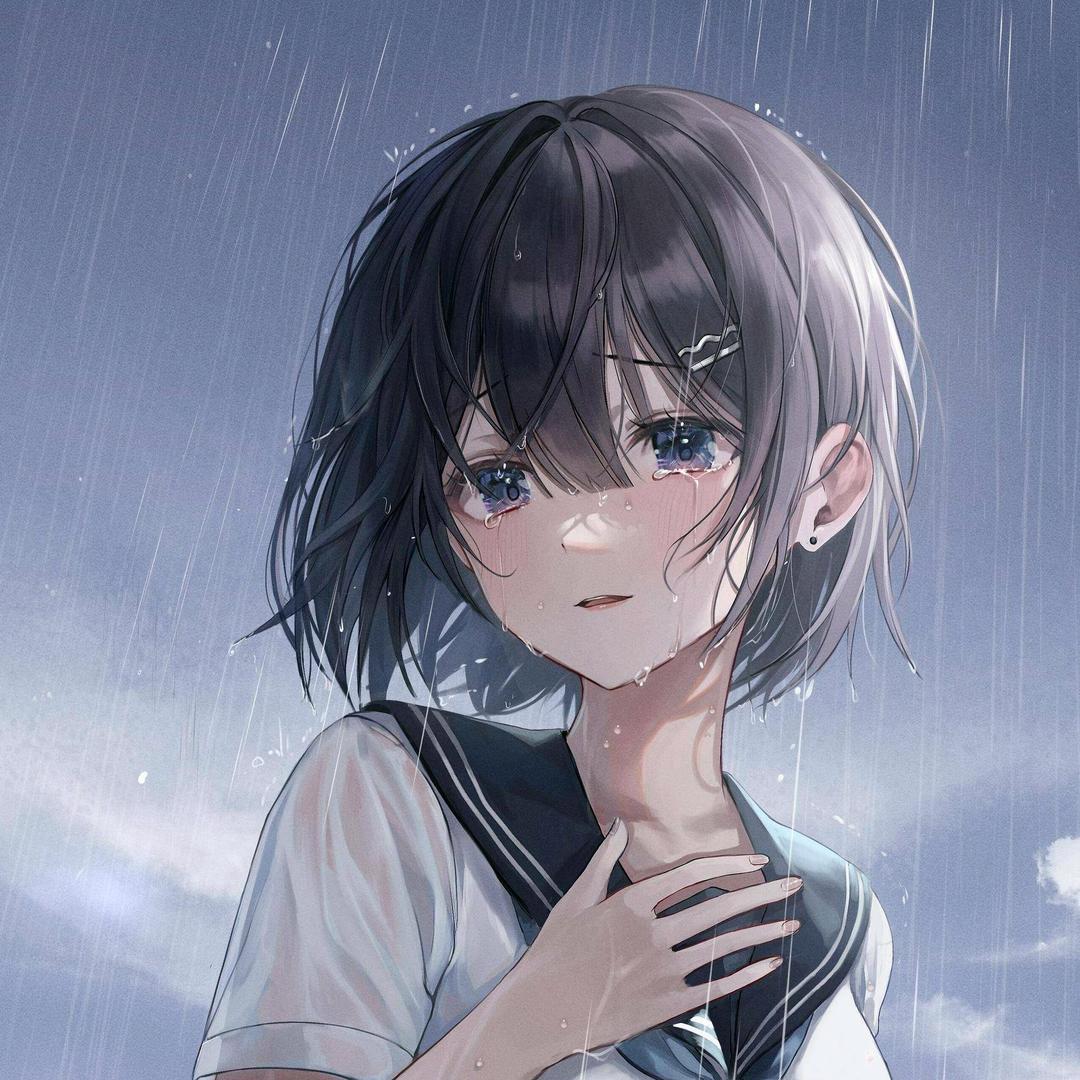浪浪小花
