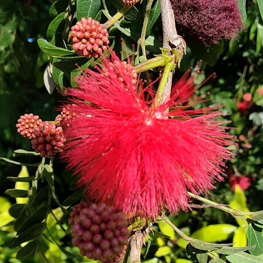 ℒℴѵℯ一王🍒情深ꦿ࿐