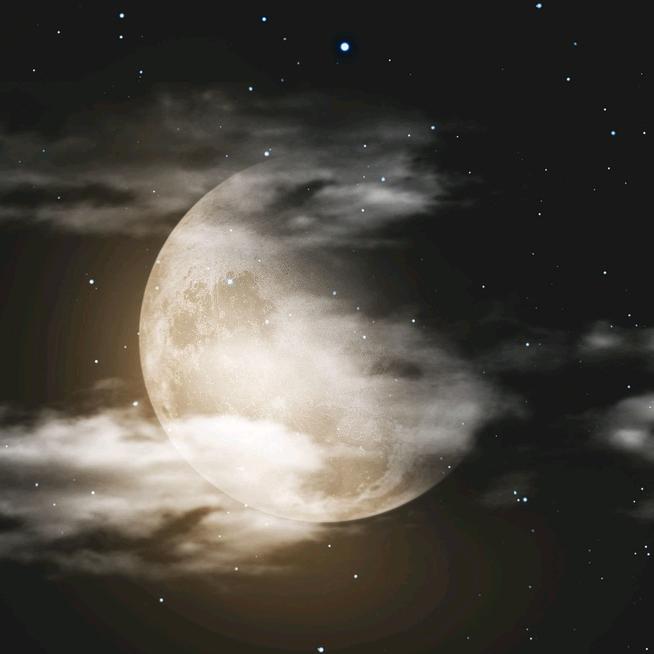 贝贝的生活日长