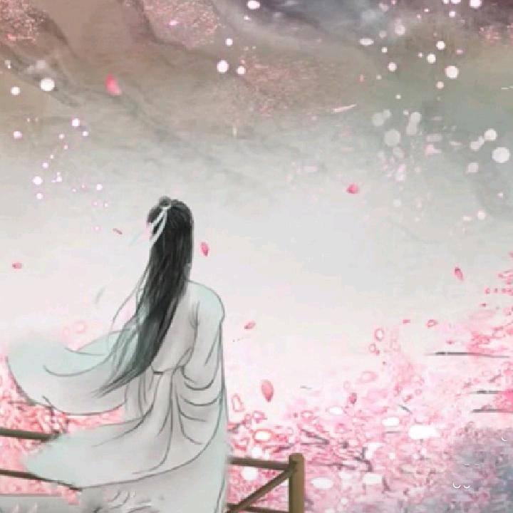 Ly飘落的花