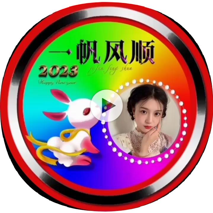 中文982778156