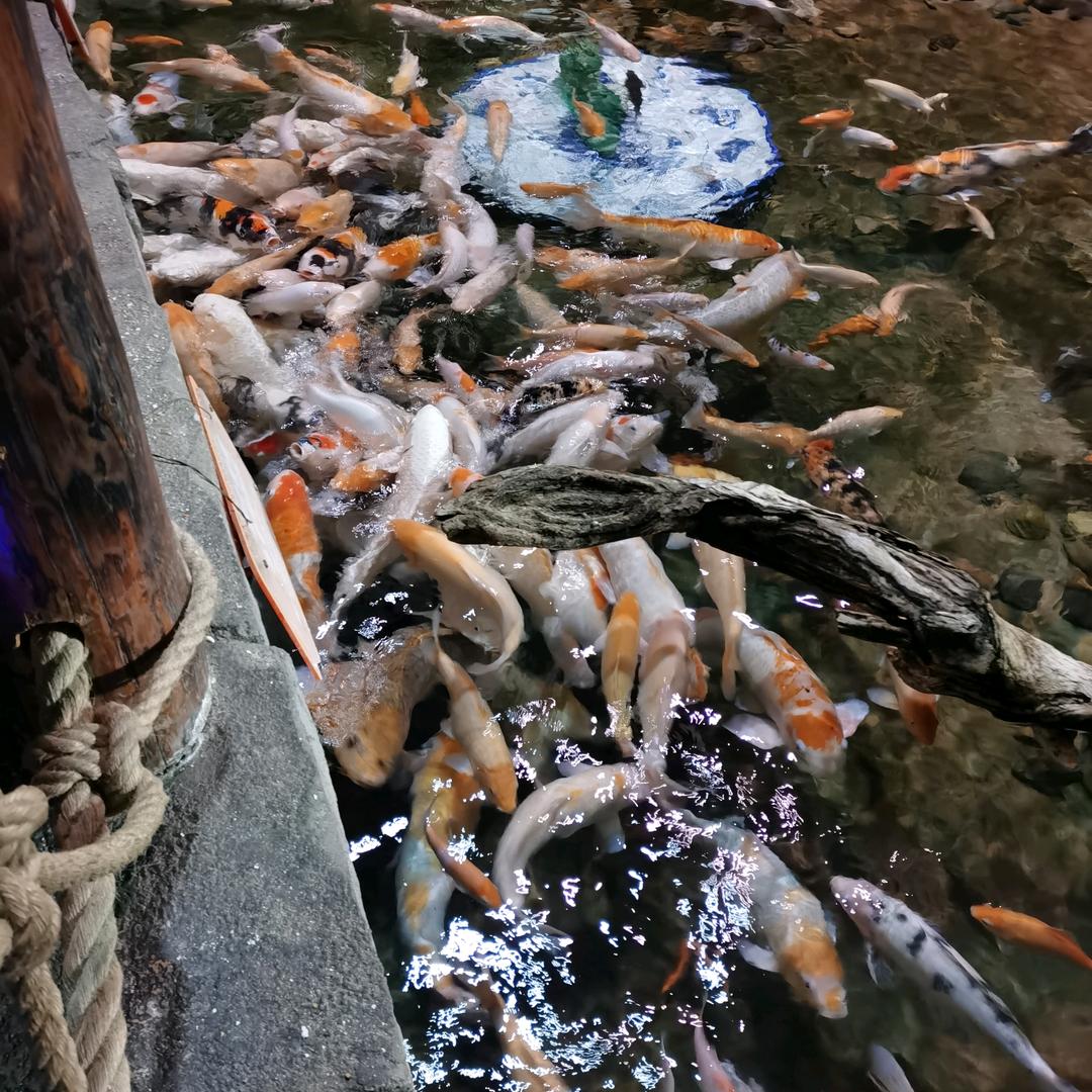 李宝国