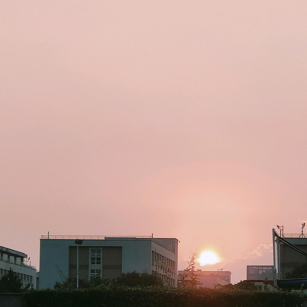 [null]٩(*´◒`*)۶静躺玩手机