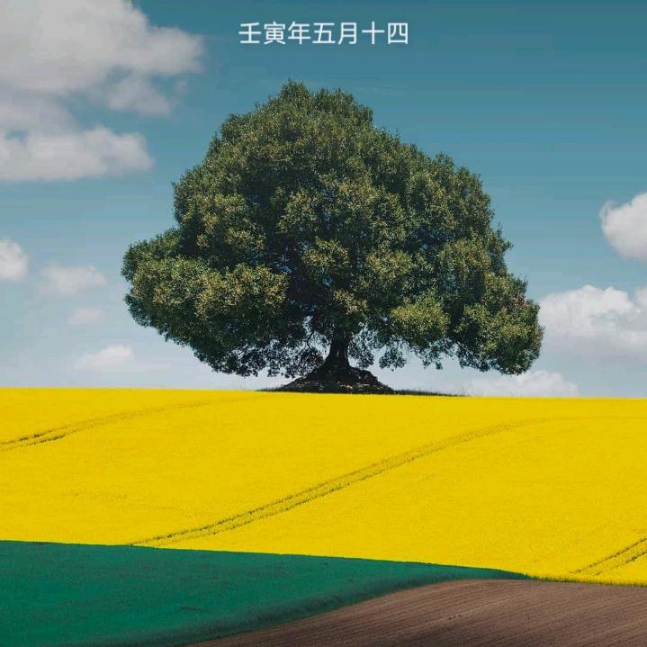 独钓翁