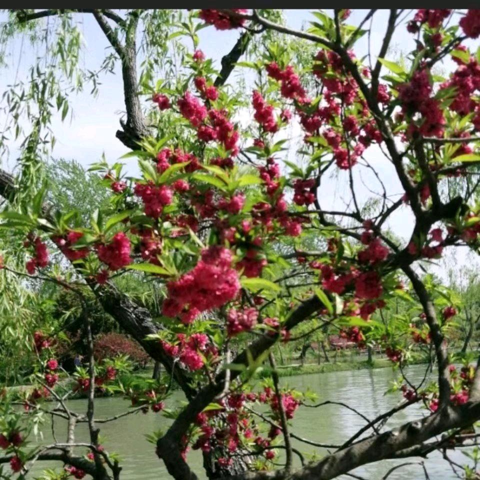 名字只是记号