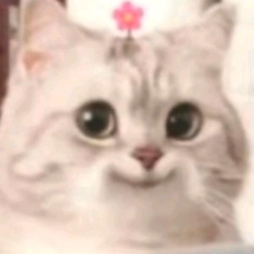 ^V^