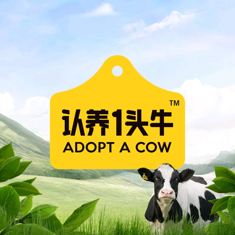 认养一头牛牧场工厂直播间