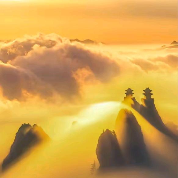 幸运每一天