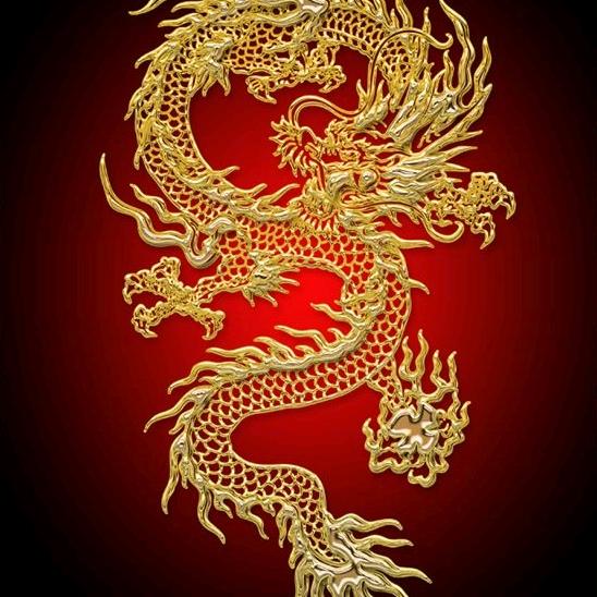 龙越九州